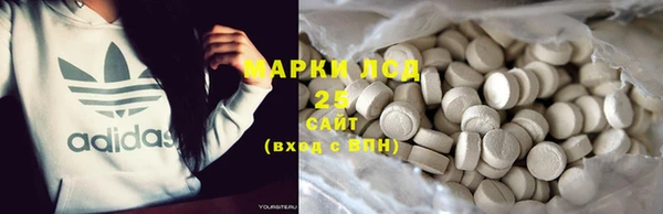 ECSTASY Алзамай