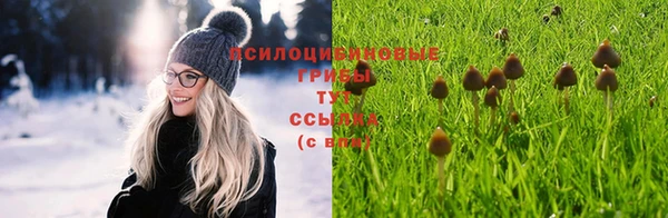 спайс Мегион